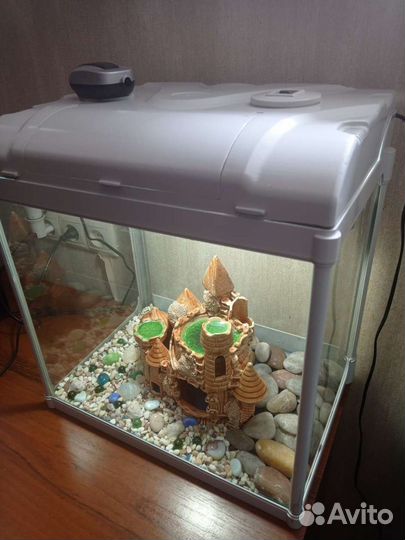 Аквариум