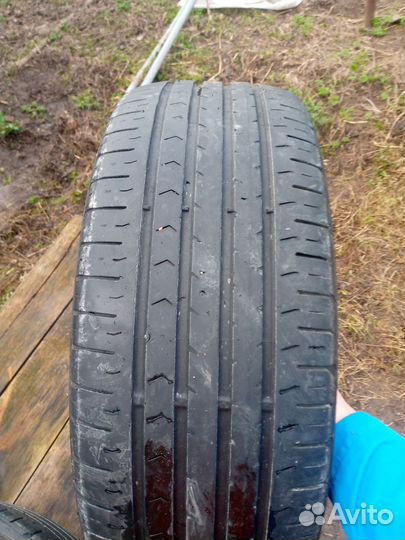 Continental ContiPremiumContact 5 205/55 R16 91H