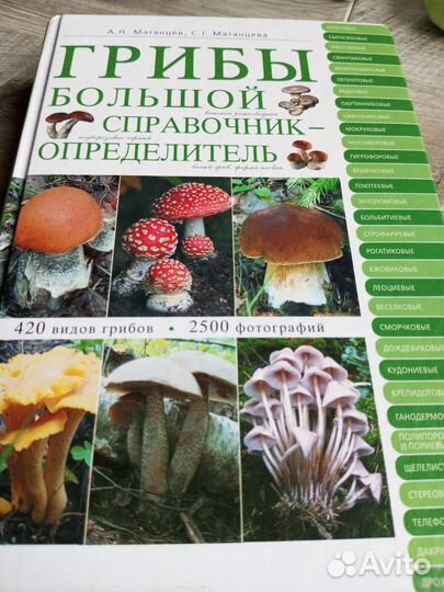 Справочник грибов