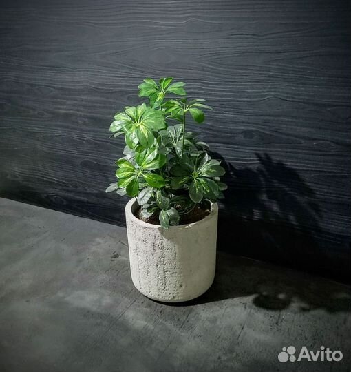 Вазоны, Горшки, Кашпо под заказ из бетона арт 126