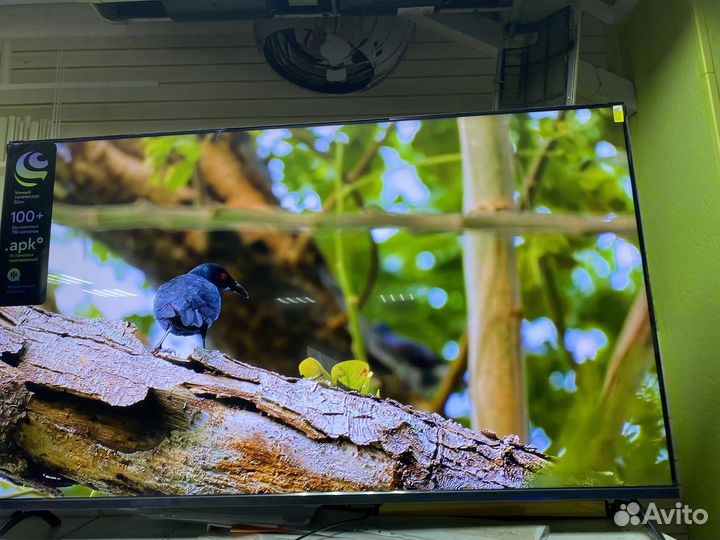 Топ qled 127 с нейросетью нового поколения