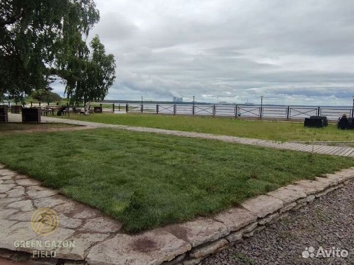 Полевой газон с поля