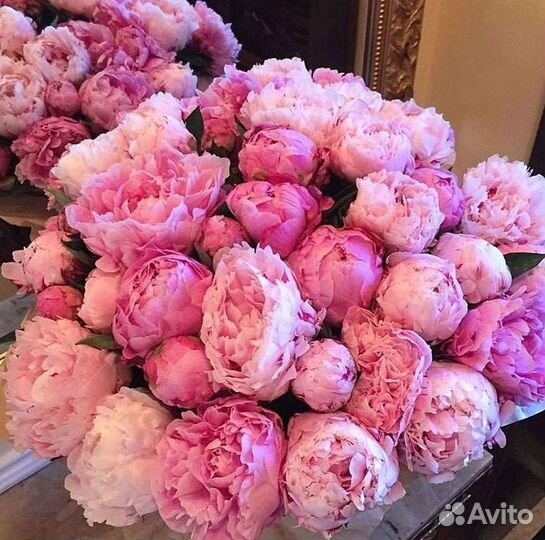 Пионы Букеты Цветы Доставка