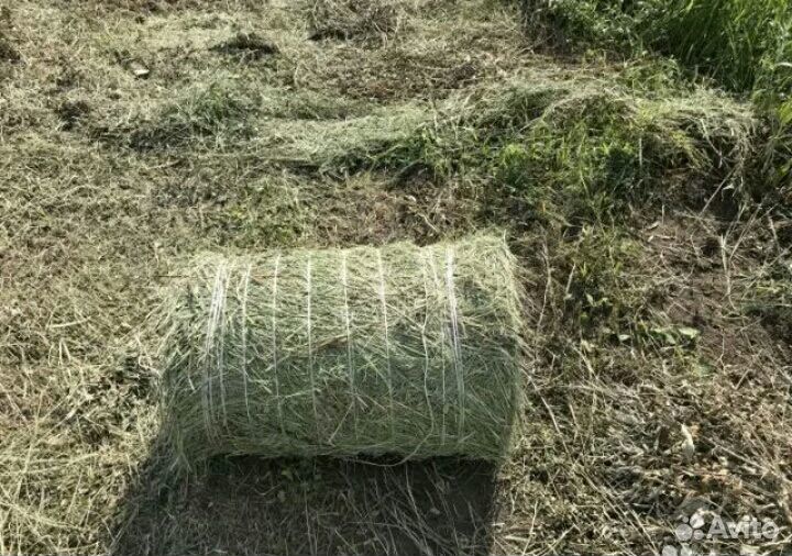 Сено в тюках. Чистое