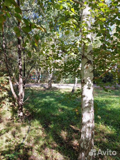 Беседка с мангалом в аренду