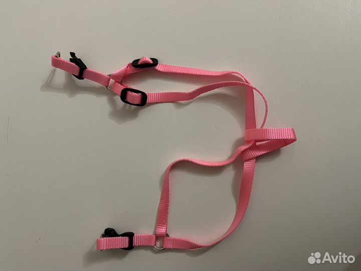 Шлейка для собаки