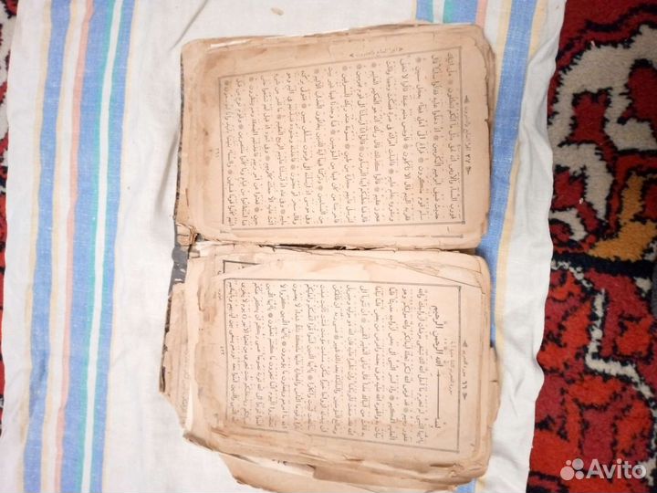 Калереквия