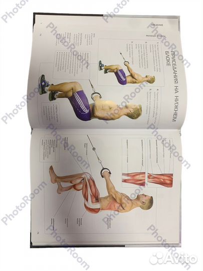 Анатомия наращивания мышц