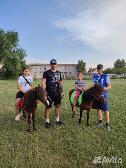 Прокат детей на пони