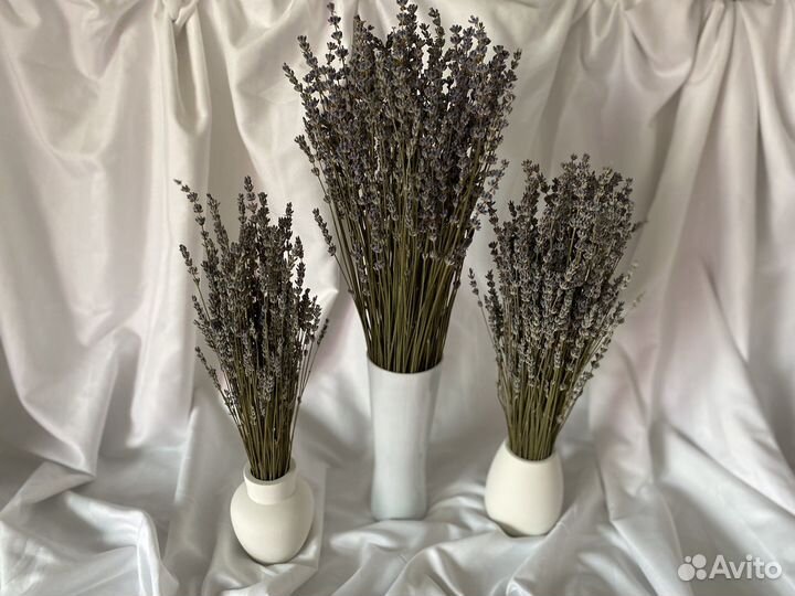 Лаванда/Сухоцветы
