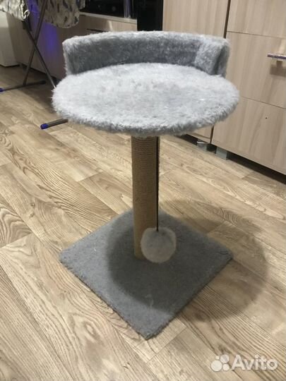 Когтеточка