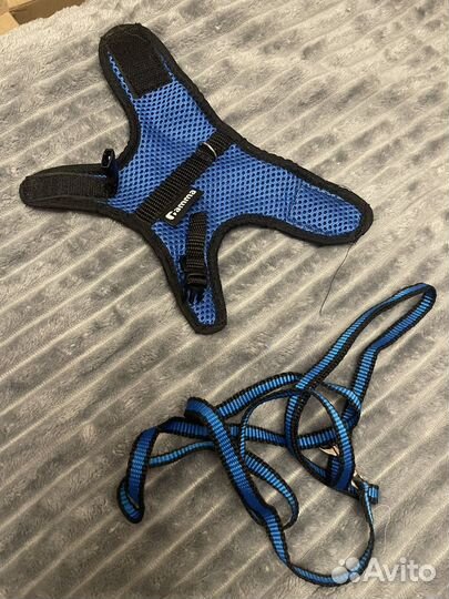 Шлейка для крыс