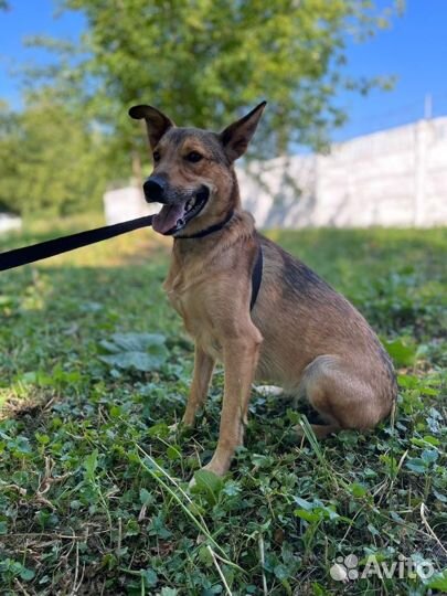 Спасите меняиз приюта