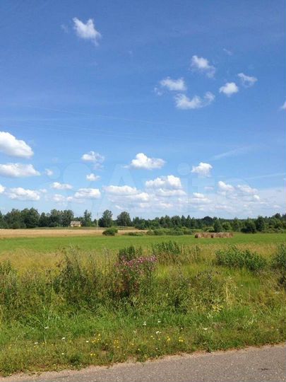 Участок 2,19 га (ИЖС)