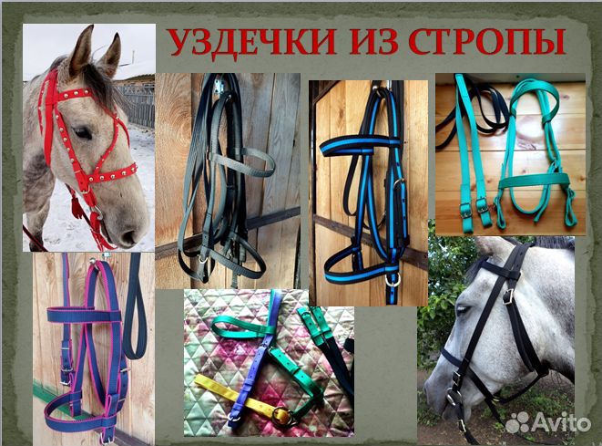 Амуниция для лошадей