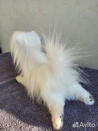 Реалистичная игрушка собака болонка