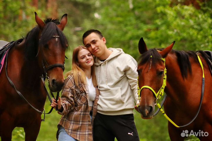 Конные прогулки и походы, обучение верховой езде