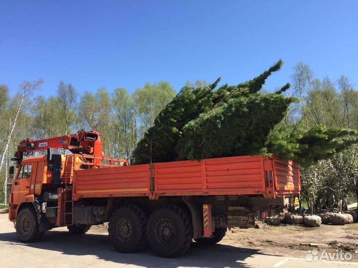 Услуги манипулятор вездеход автовышка