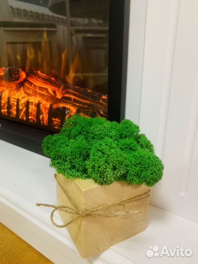 Мох в кубе из сосны (8х8х8)