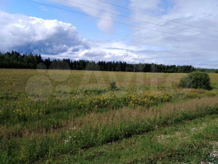 Участок 10 га (СНТ, ДНП)