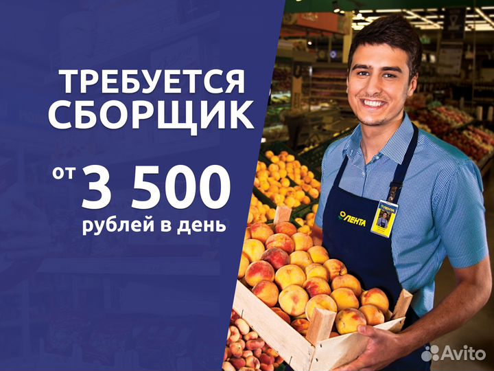 Сборщик заказов ежедневные выплаты