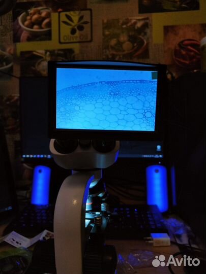 Бинокулярный цифровой микроскоп 40x - x5000