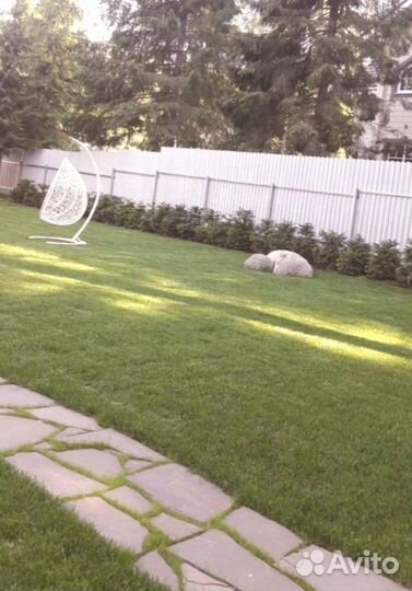 Рулонный газон 