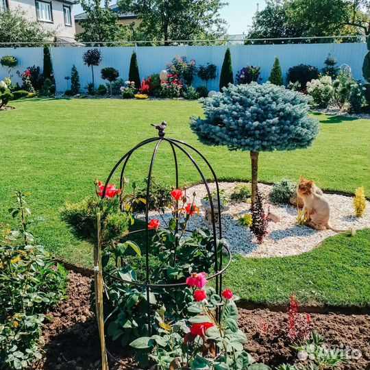 Шпалера опора для цветов