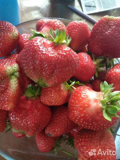 Усы Виктории