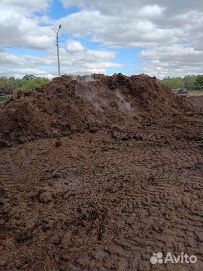 Перегной, навоз