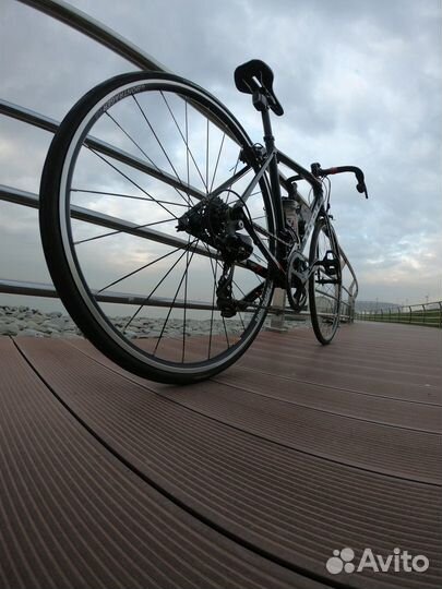 Шоссейный велосипед Domane AL3 2020