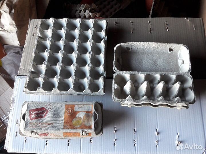 Упаковка лоток контейнер для яиц