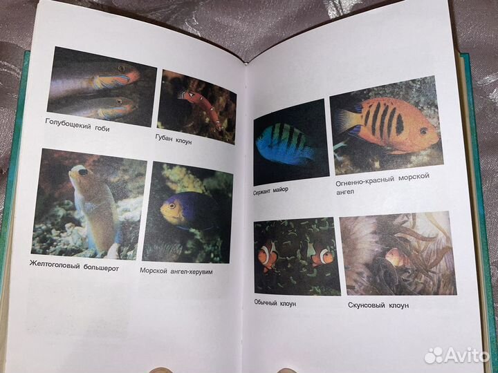 Полный справочник аквариумиста