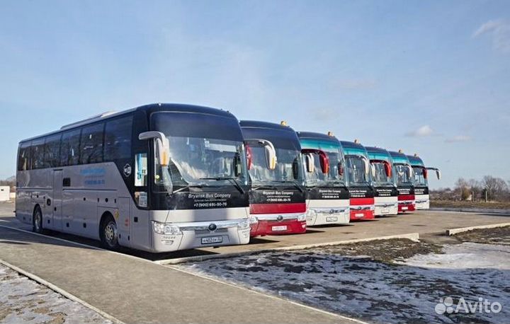 Автобусный тур в Туапсе,Сочи,Адлер