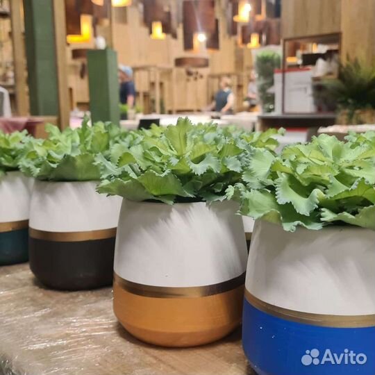 Озеленение искусственное и комнатное