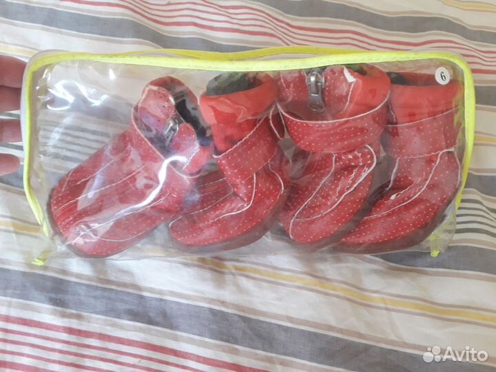 Обувь для собак (средних/сука бультерьер)