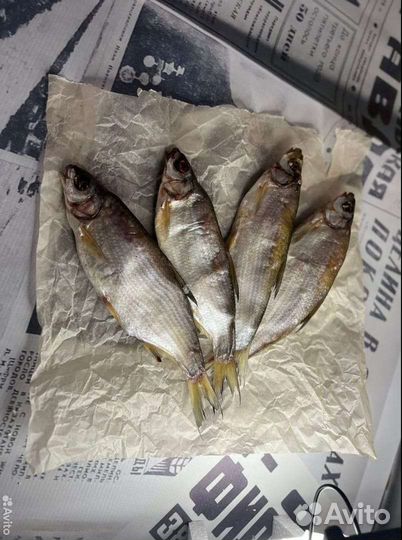 Рыбка Рыбец оптом