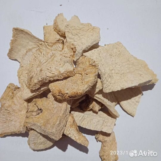 Переступень белый (бриония белая) корень Армения