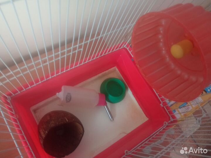 Клетка для хомяка