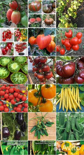 Семена цветов и овощей, Наборы для рассады