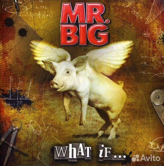 Mr. Big - What If. (1 CD)