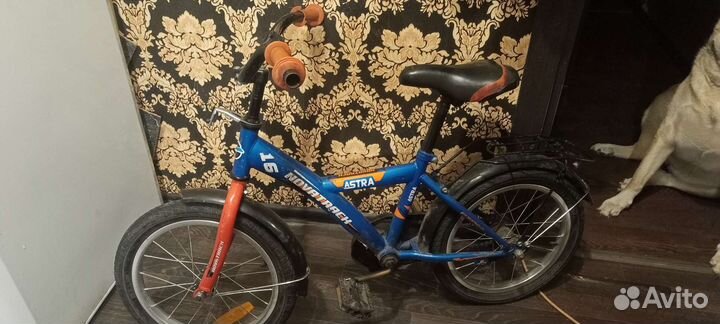 Детский велосипед Astra