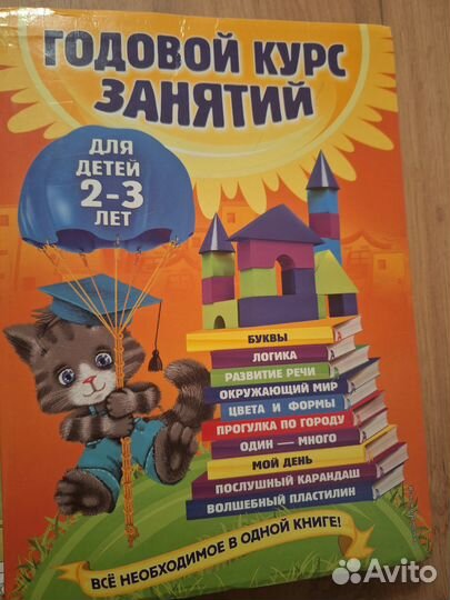 Книга годовой курс занятий от 2-3