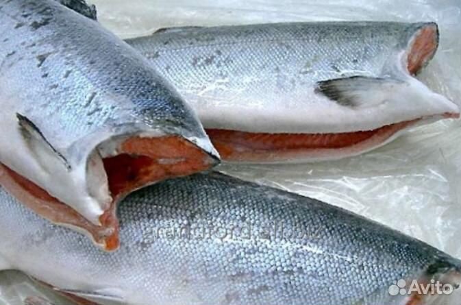 Сёмга свежемороженая и форель