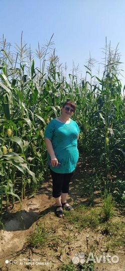 Работа агроном