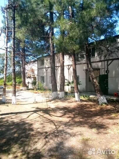 Отдых на черном море