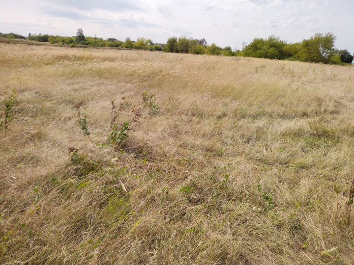 Участок 23 сот. (ИЖС)