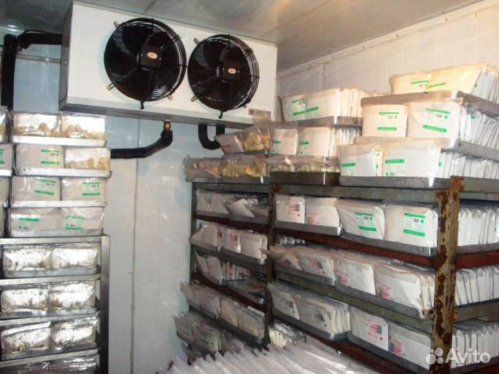 Морозильные Установки для Заморозки Продуктов