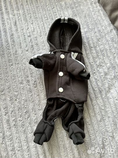 Одежда для собак