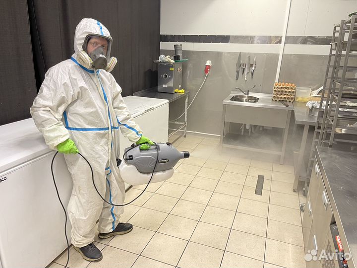 Уничтожение клопов